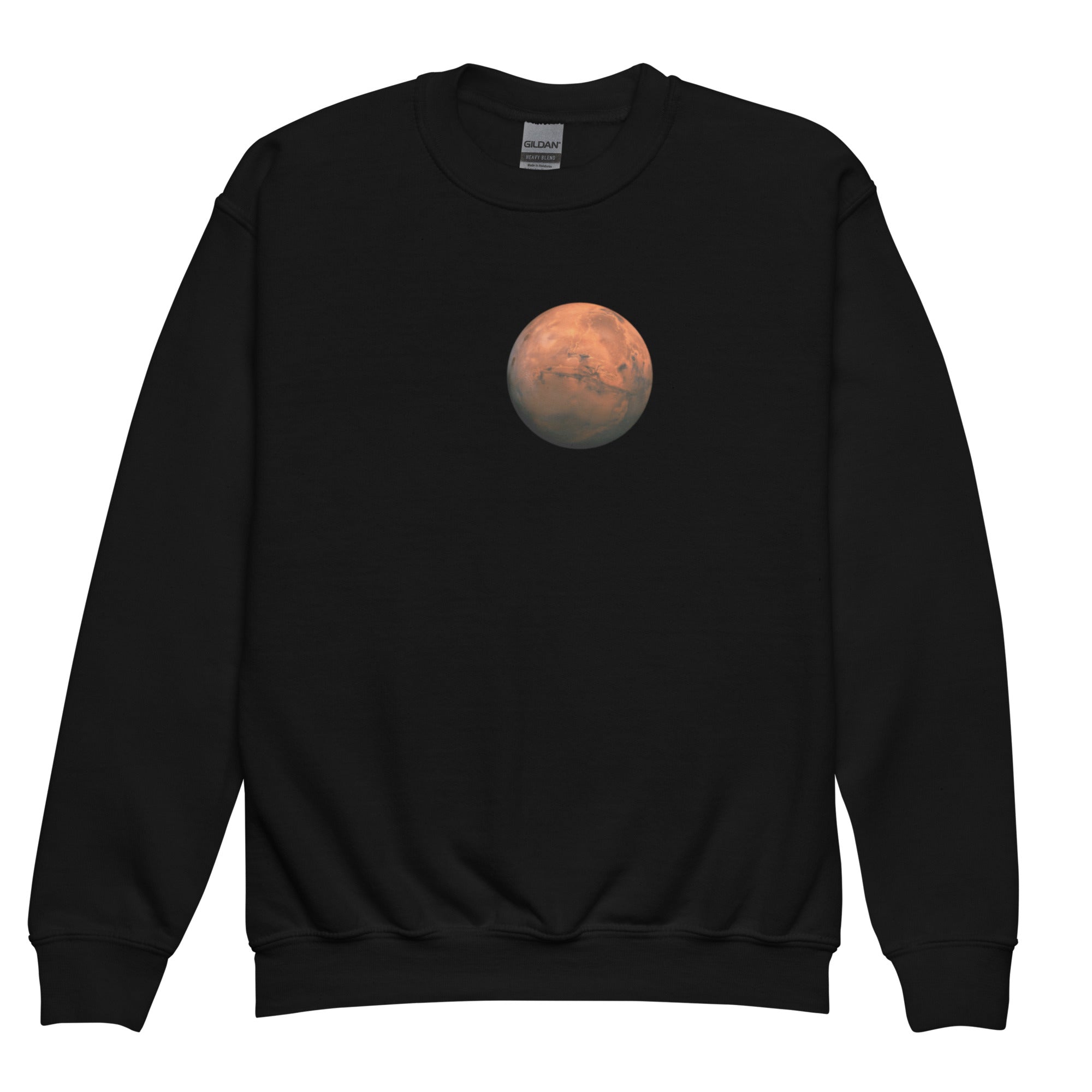 Youth crewneck sweatshirt